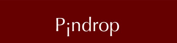 pindroplogo-gif
